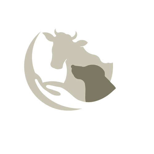 Logo Julie Lamotte